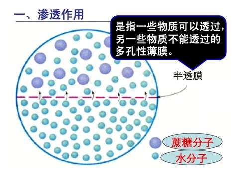 扩散作用|生物学上的扩散和渗透有什么异同？